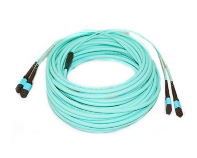 Multi-mode OM3 24 core MPO/MTP fiber optic patch cord