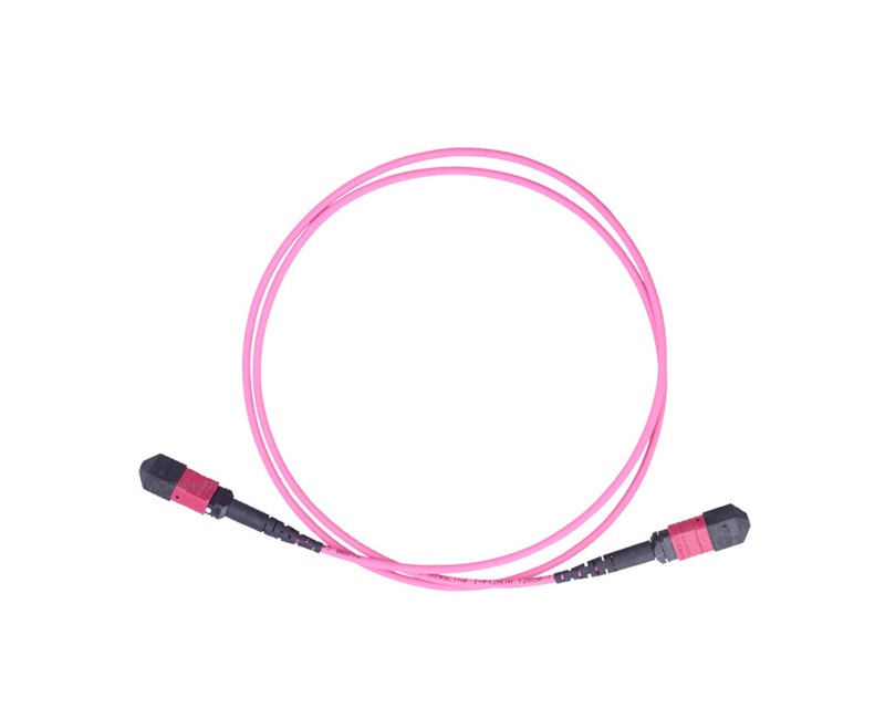 Multi-mode OM4 12 core MPO/MTP fiber optic patch cord